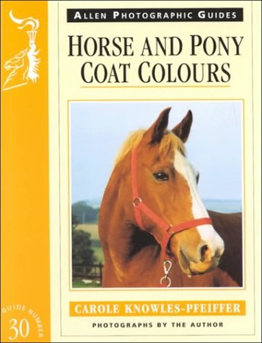 Horse and Pony Coat Colours