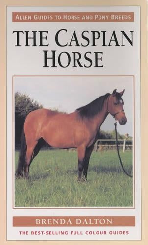 The Caspian Horse