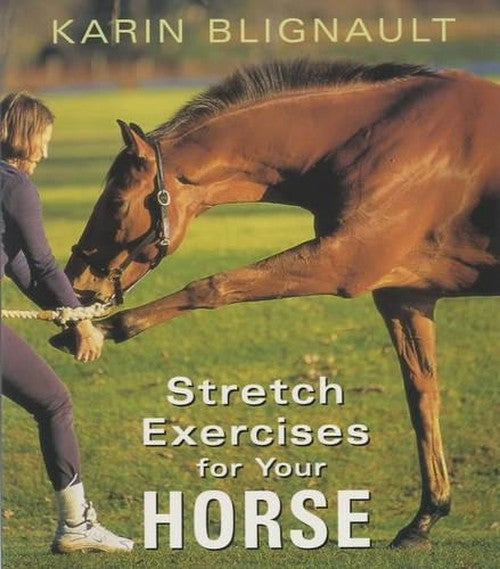 Stretch Exercises for Your Horse