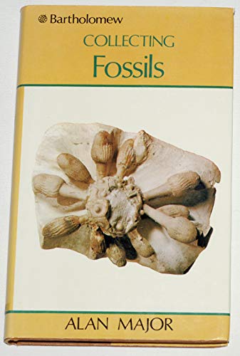 Collecting Fossils