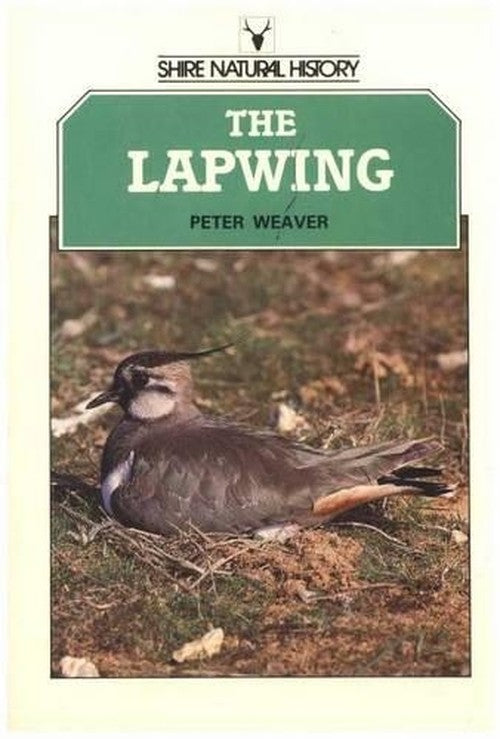 The Lapwing