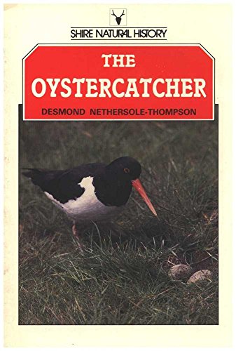 The Oystercatcher