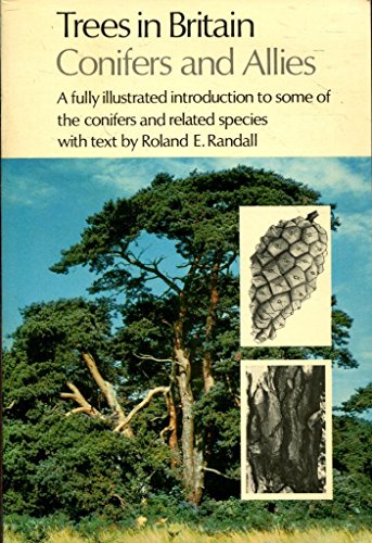 Trees in Britain: Conifers and Allies