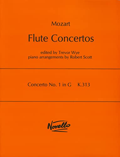 Concerto No.1 In G K.313