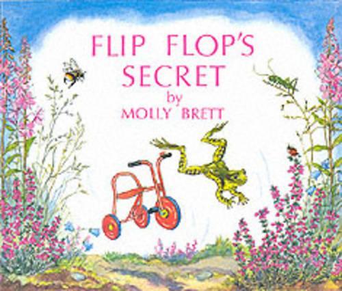 Flip Flop's Secret