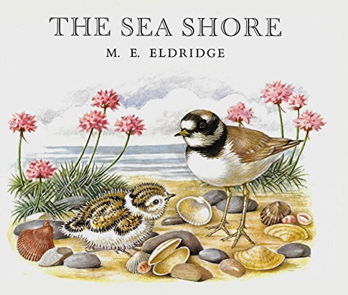 The Sea Shore