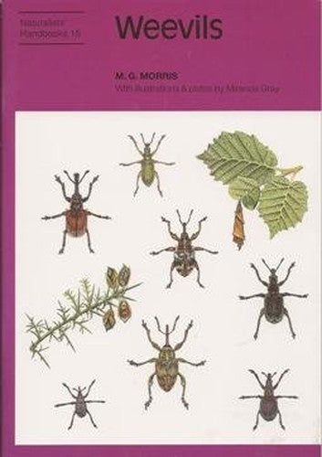 Weevils