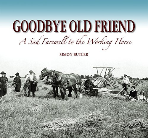 Goodbye Old Friend
