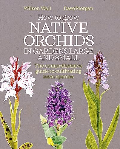How to Grow Native Orchids in Gardens Large and Small