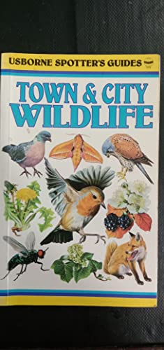 Town and City Wild Life