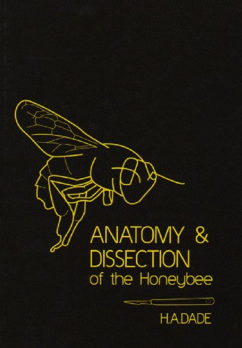 Anatomy and Dissection of the Honeybee