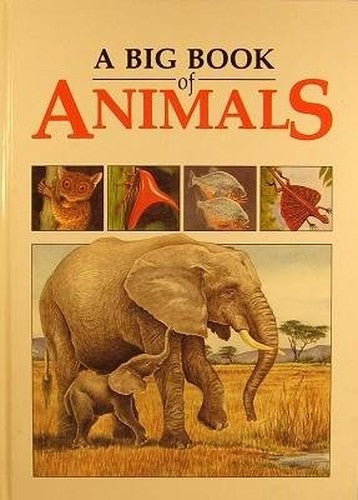 Big Bk of Animals Lrn Abt