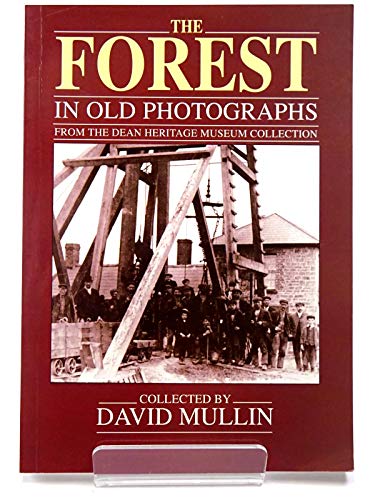 Forest of Dean in Old Photographs