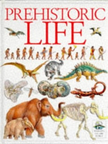 Windows On The World: 11 Prehistoric Life