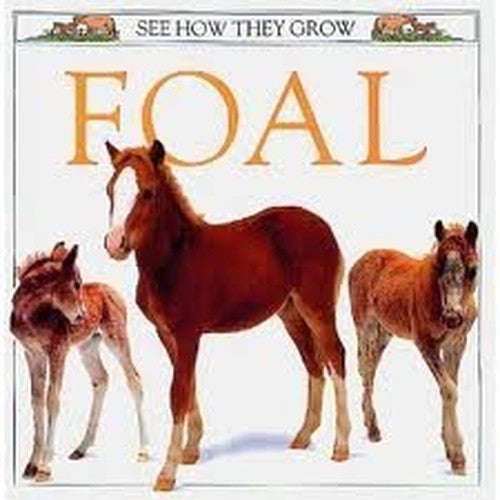 See How They Grow: 12 Foal