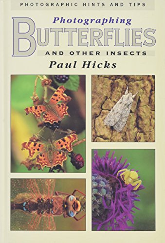 Photographing Butterflies and Other Insects