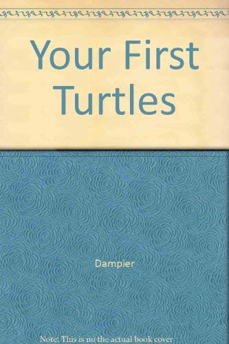 Your First Turtles