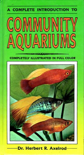 Complete Guide to Community Aquariums