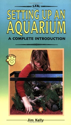 A Complete Guide to Setting Up an Aquarium