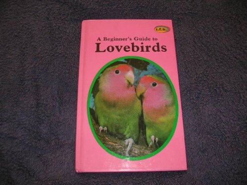 A Beginner's Guide to Lovebirds
