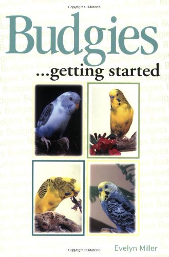 Budgies as a Hobby