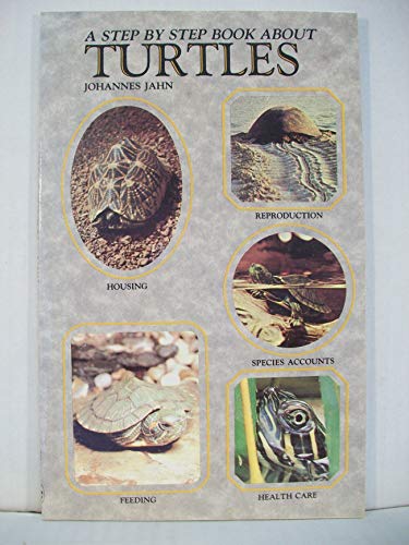Step-by-step Book About Turtles