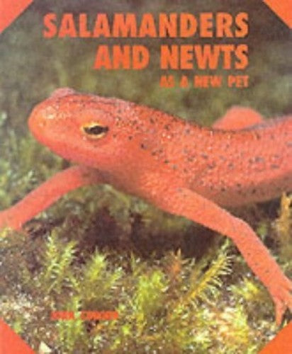 Salamanders and Newts as a New Pet