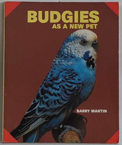 Budgies as a New Pet