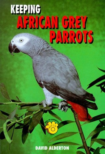Keeping African Grey Parrots