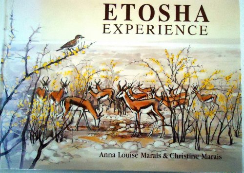 Etosha Experience