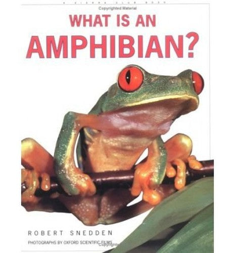 What is an Amphibian?