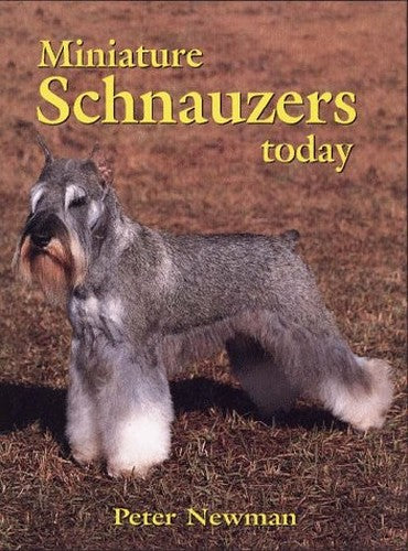 Miniature Schnauzers Today