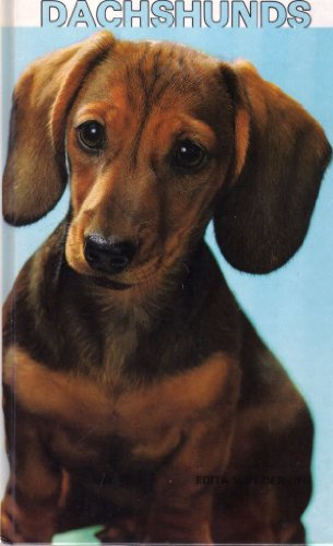 Dachshunds