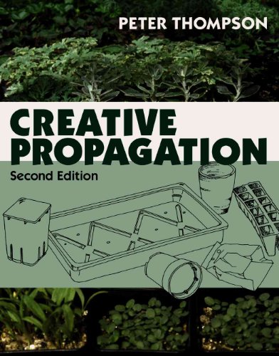 Creative Propagation