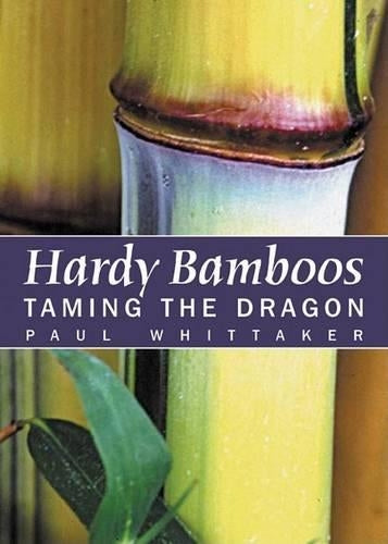 Hardy Bamboos - Taming the Dragon