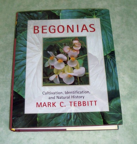 Begonias