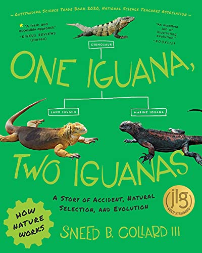 One Iguana, Two Iguanas