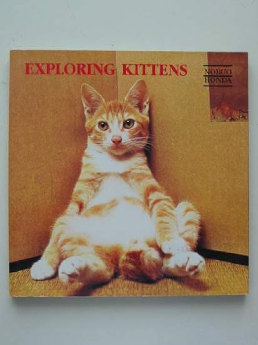 Exploring Kittens