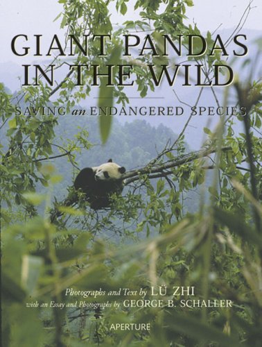 Giant Pandas in the Wild