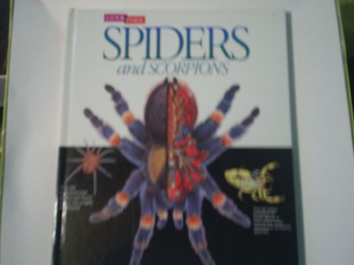 A Look Inside Spiders and Scorpions