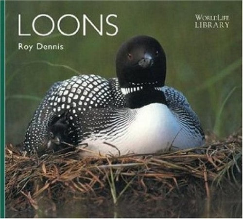 Loons