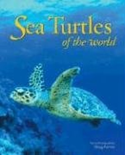Sea Turtles