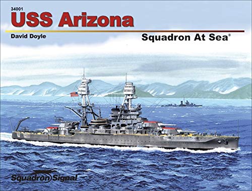 USS Arizona Squadron at Sea-Op