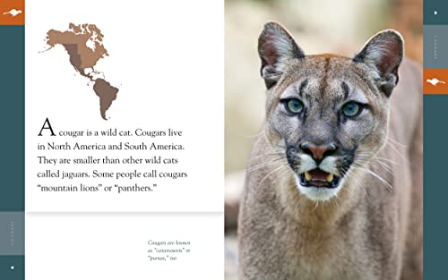Cougars