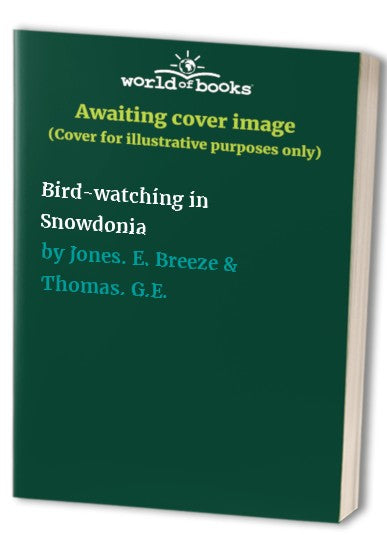 Bird-watching in Snowdonia