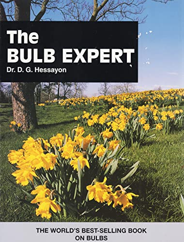 The Bulb Expert