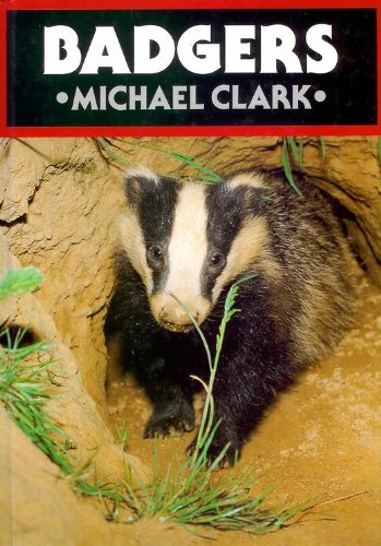 Badgers