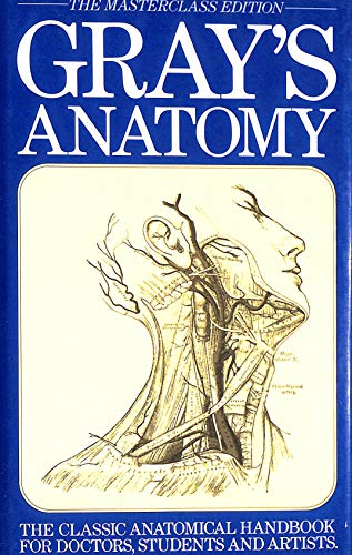 Anatomy