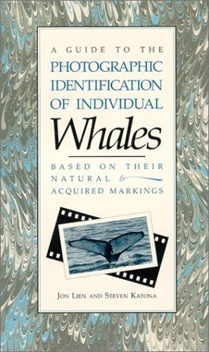 Photographic Identification of Individual Whales