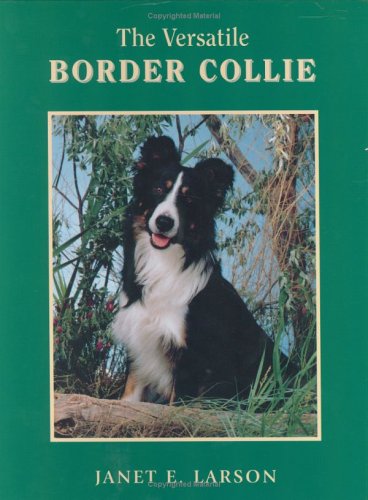 The Versatile Border Collie